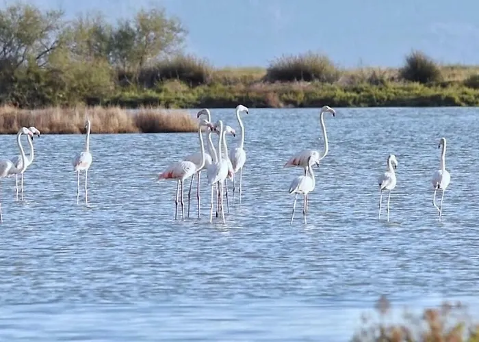 Lefka Stunning Seaside In Corfu With Private Gardens Villa *